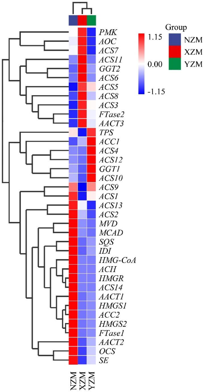 https://cdn.ncbi.nlm.nih.gov/pmc/blobs/b4d9/9946338/fd1b49bb9e71/TMYB_A_2175434_F0005_C.jpg