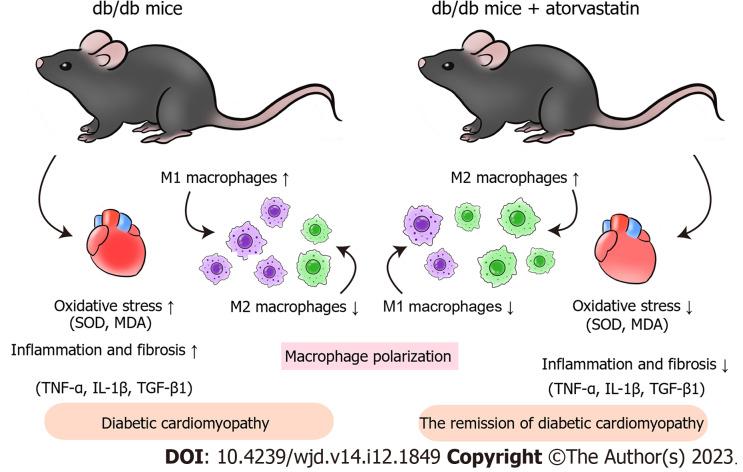 https://cdn.ncbi.nlm.nih.gov/pmc/blobs/b4db/10784803/7002c7c47e60/WJD-14-1849-g006.jpg