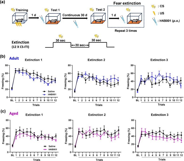 https://cdn.ncbi.nlm.nih.gov/pmc/blobs/b4db/10885434/e43c00c50c17/13041_2024_1083_Fig3_HTML.jpg