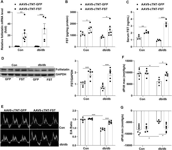 https://cdn.ncbi.nlm.nih.gov/pmc/blobs/b4dc/8353454/2489717f8315/fphar-12-683335-g002.jpg