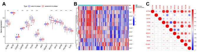 https://cdn.ncbi.nlm.nih.gov/pmc/blobs/b4de/11550432/0078ec22cdaf/41598_2024_78392_Fig2_HTML.jpg