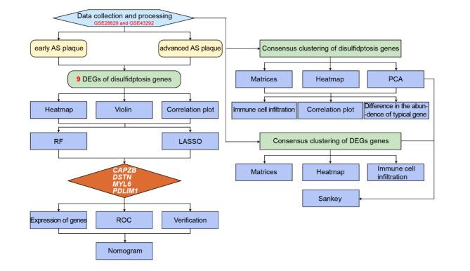 https://cdn.ncbi.nlm.nih.gov/pmc/blobs/b4de/11550432/5a1e5f483ee8/41598_2024_78392_Fig1_HTML.jpg