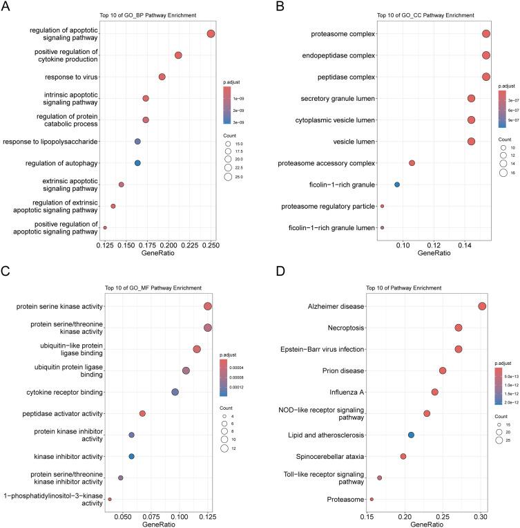 https://cdn.ncbi.nlm.nih.gov/pmc/blobs/b4df/11682943/0e821cd31503/JIR-17-11605-g0003.jpg
