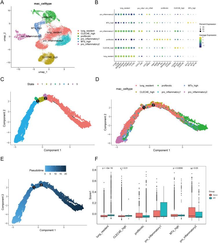 https://cdn.ncbi.nlm.nih.gov/pmc/blobs/b4df/11682943/812ac35ac9e3/JIR-17-11605-g0010.jpg