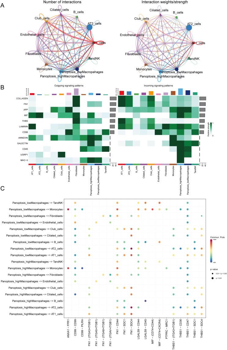 https://cdn.ncbi.nlm.nih.gov/pmc/blobs/b4df/11682943/8d0b91cde15f/JIR-17-11605-g0011.jpg