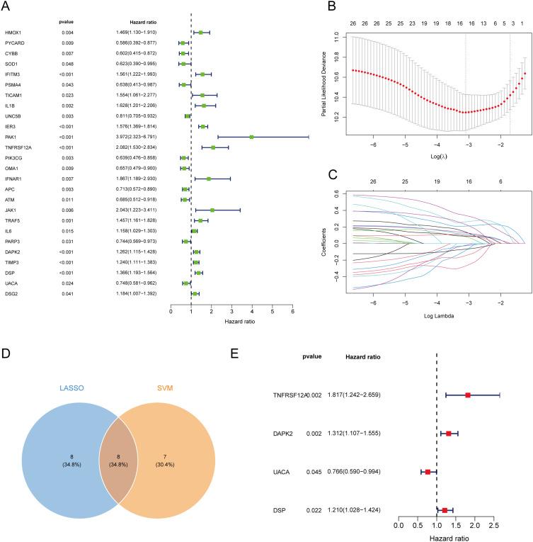 https://cdn.ncbi.nlm.nih.gov/pmc/blobs/b4df/11682943/9f4bf7b4c296/JIR-17-11605-g0007.jpg