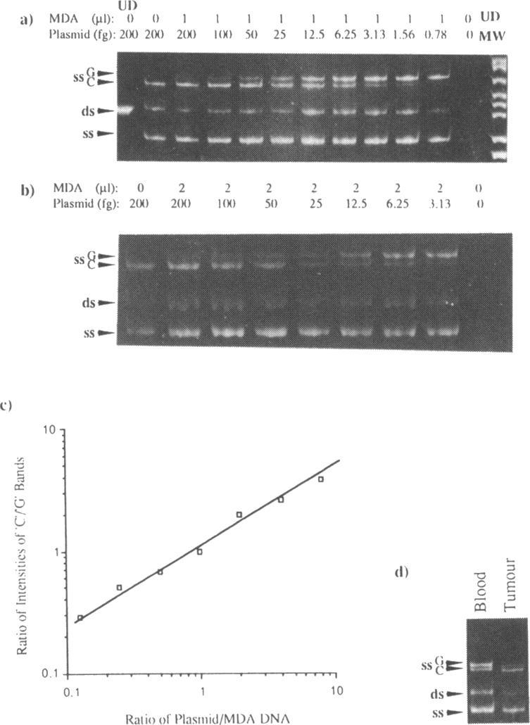 https://cdn.ncbi.nlm.nih.gov/pmc/blobs/b4df/310345/ce661a4cb126/nar00075-0158-a.jpg