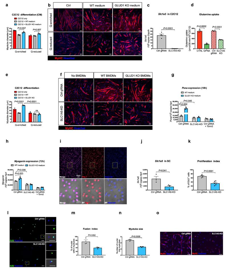 https://cdn.ncbi.nlm.nih.gov/pmc/blobs/b4df/7116844/9b6e66c40d7d/EMS114640-f008.jpg