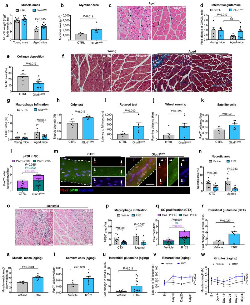 https://cdn.ncbi.nlm.nih.gov/pmc/blobs/b4df/7116844/a3b0108f14ce/EMS114640-f003.jpg