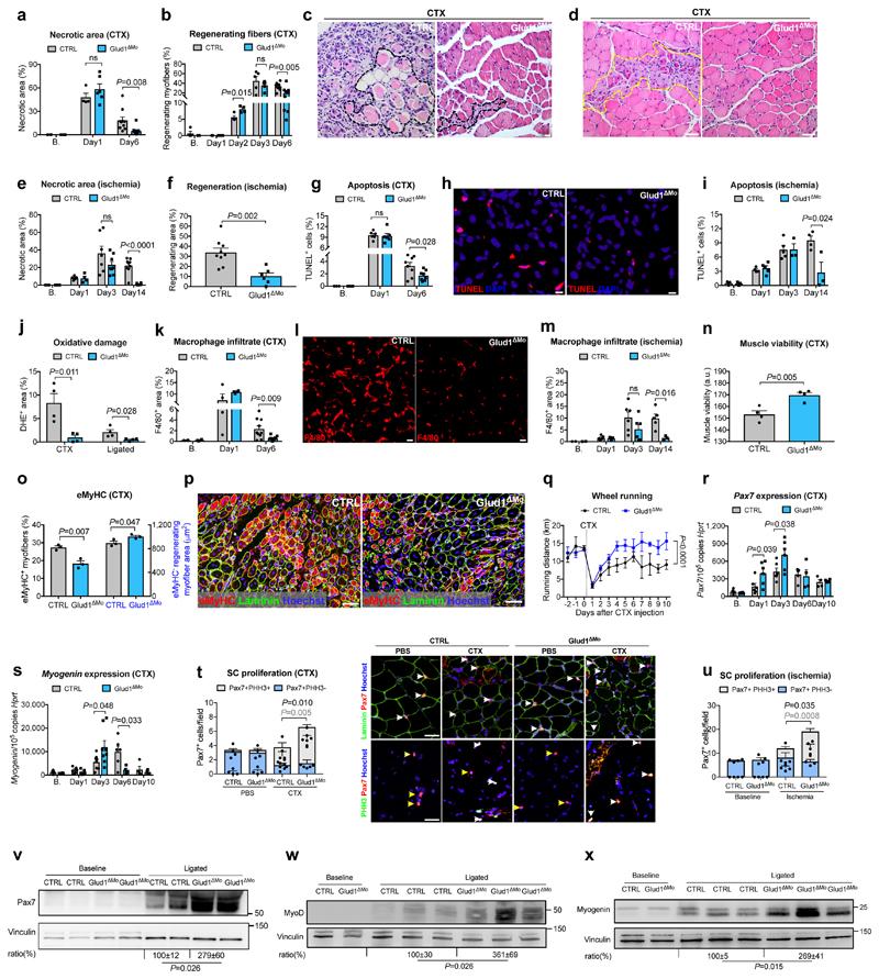 https://cdn.ncbi.nlm.nih.gov/pmc/blobs/b4df/7116844/a49380cfc5e9/EMS114640-f001.jpg