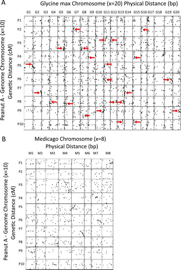https://cdn.ncbi.nlm.nih.gov/pmc/blobs/b4e0/3542255/cd61986223e8/1471-2164-13-469-3.jpg