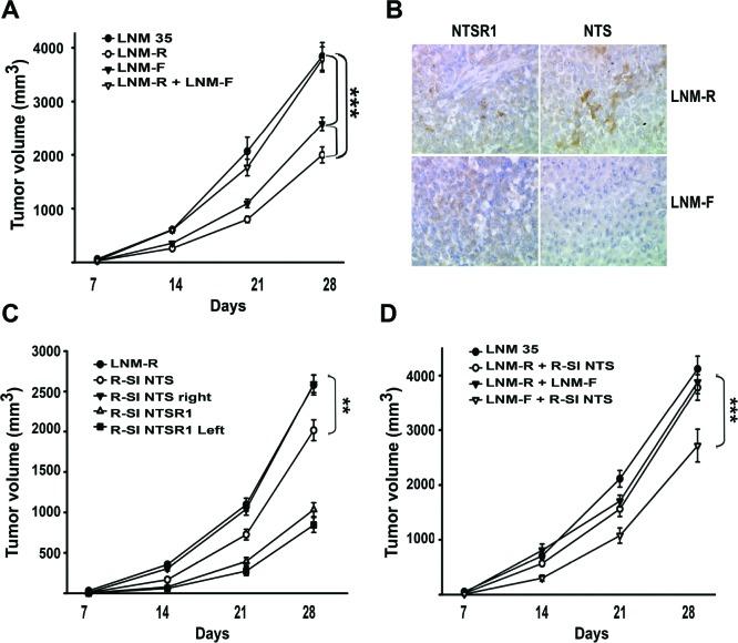 https://cdn.ncbi.nlm.nih.gov/pmc/blobs/b4e0/4226681/3dbeb5fc2b6c/oncotarget-05-8252-g005.jpg