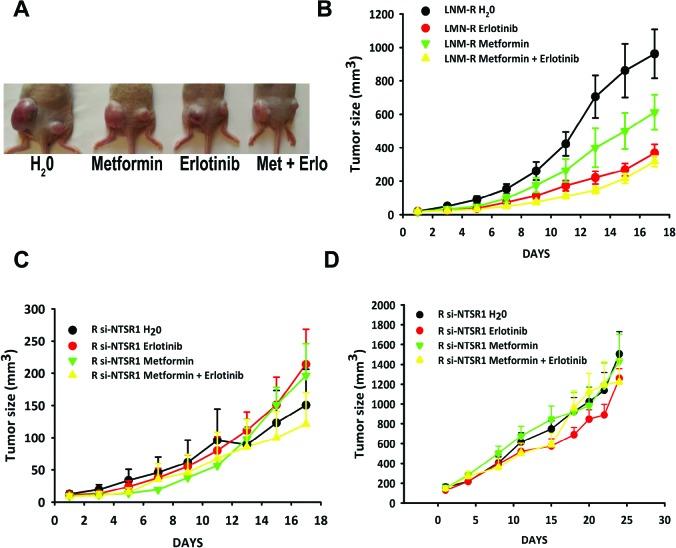 https://cdn.ncbi.nlm.nih.gov/pmc/blobs/b4e0/4226681/ae8238595718/oncotarget-05-8252-g006.jpg