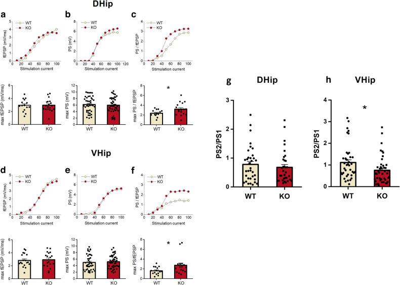 https://cdn.ncbi.nlm.nih.gov/pmc/blobs/b4e2/10879511/520a42ef183f/41398_2024_2815_Fig5_HTML.jpg