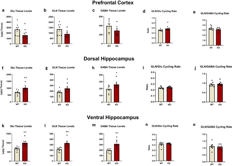 https://cdn.ncbi.nlm.nih.gov/pmc/blobs/b4e2/10879511/e2299ea09bcf/41398_2024_2815_Fig4_HTML.jpg