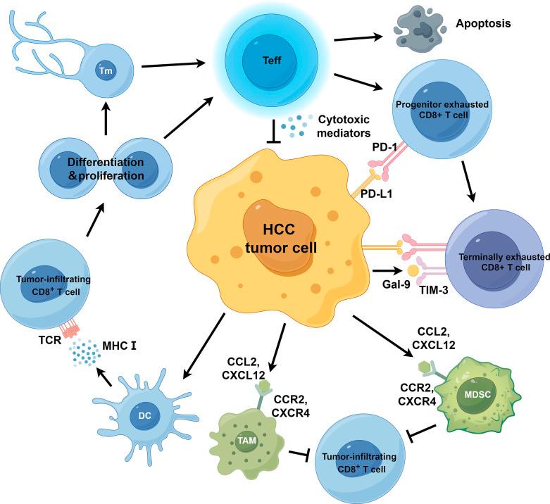 https://cdn.ncbi.nlm.nih.gov/pmc/blobs/b4e2/12360748/7a356d201319/lic-2025-0014-0004-542578_F01.jpg