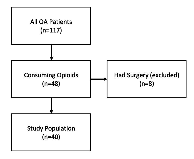 https://cdn.ncbi.nlm.nih.gov/pmc/blobs/b4e5/8873278/514c9bf79e76/cureus-0014-00000021564-i01.jpg