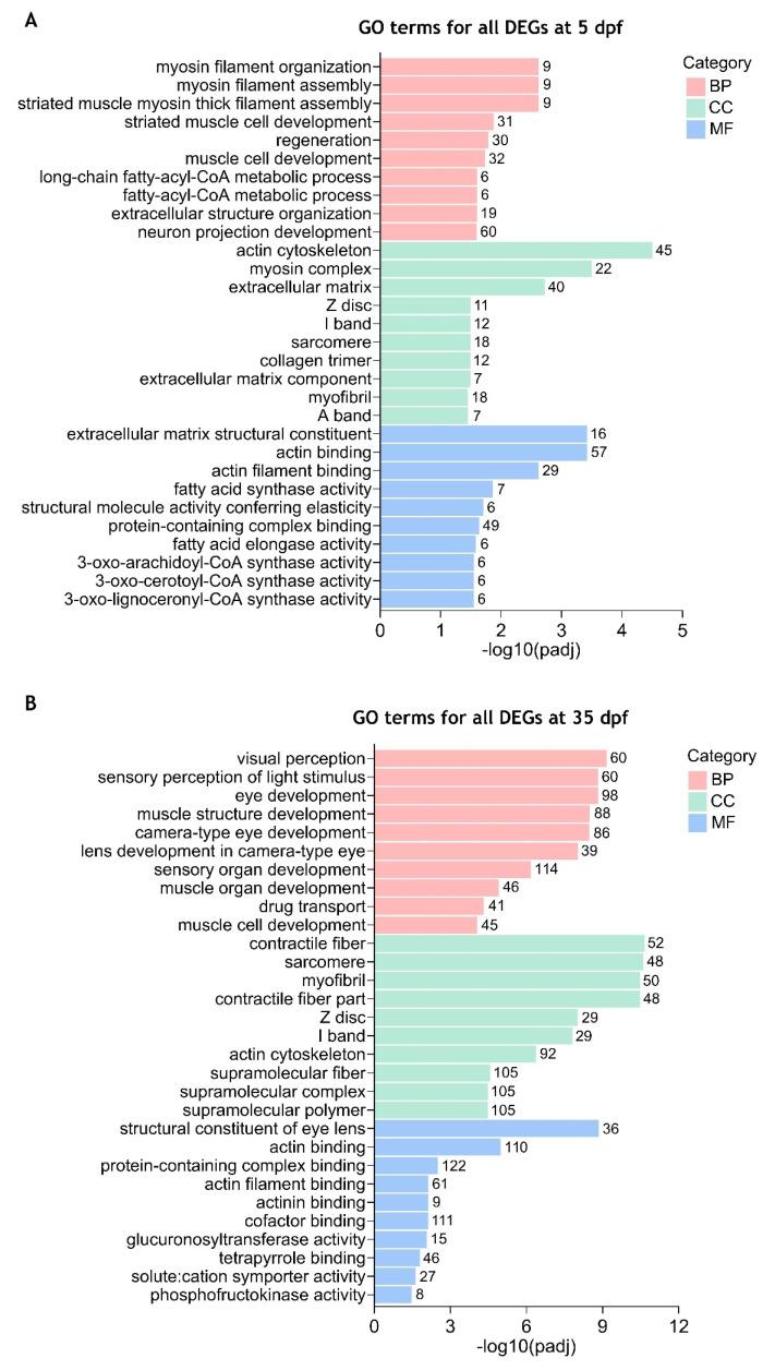 https://cdn.ncbi.nlm.nih.gov/pmc/blobs/b4e6/12250029/a19ee457bf33/ijms-26-06069-g003.jpg