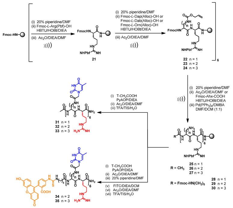 https://cdn.ncbi.nlm.nih.gov/pmc/blobs/b4e6/9369335/89b67f7df6c0/ijms-23-08504-sch002.jpg