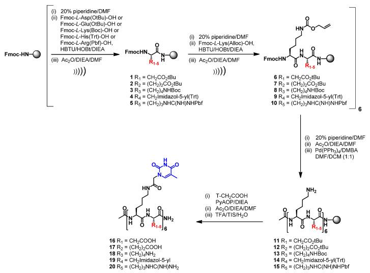 https://cdn.ncbi.nlm.nih.gov/pmc/blobs/b4e6/9369335/bc905a9111c3/ijms-23-08504-sch001.jpg