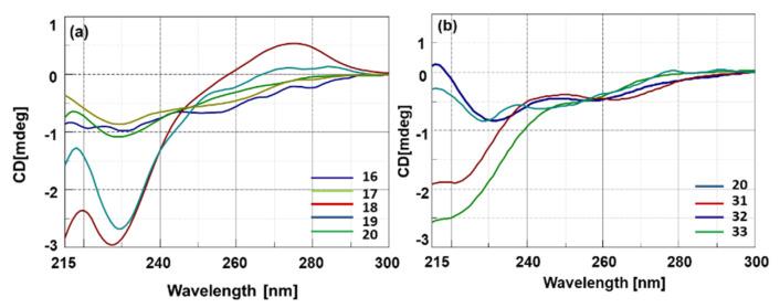 https://cdn.ncbi.nlm.nih.gov/pmc/blobs/b4e6/9369335/d62d830ce088/ijms-23-08504-g001.jpg