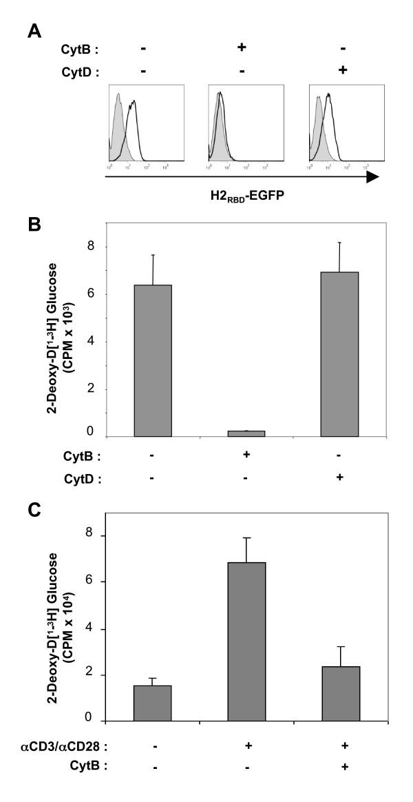 https://cdn.ncbi.nlm.nih.gov/pmc/blobs/b4e8/1876471/a39947b9df19/1742-4690-4-31-4.jpg