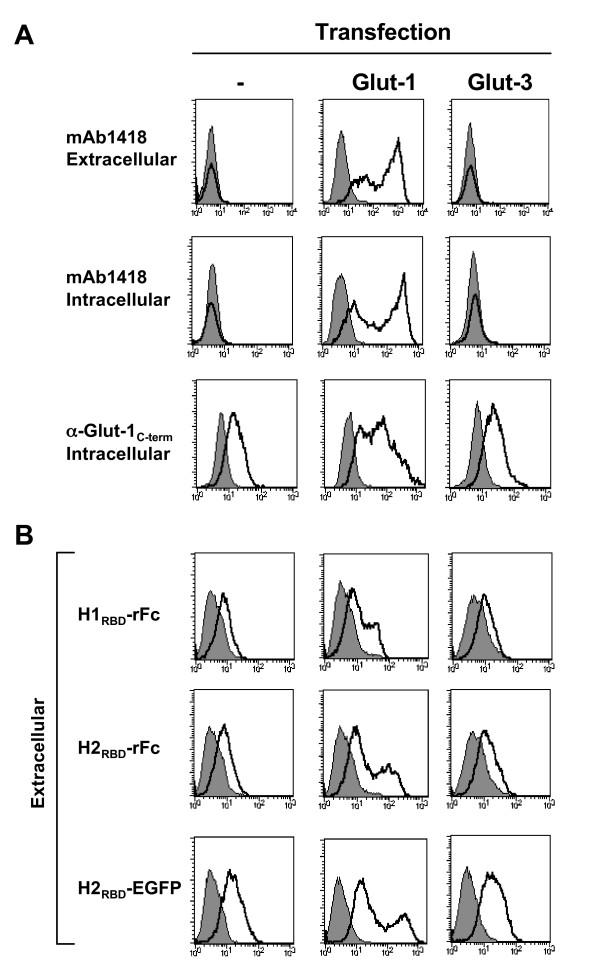 https://cdn.ncbi.nlm.nih.gov/pmc/blobs/b4e8/1876471/e18429572691/1742-4690-4-31-1.jpg