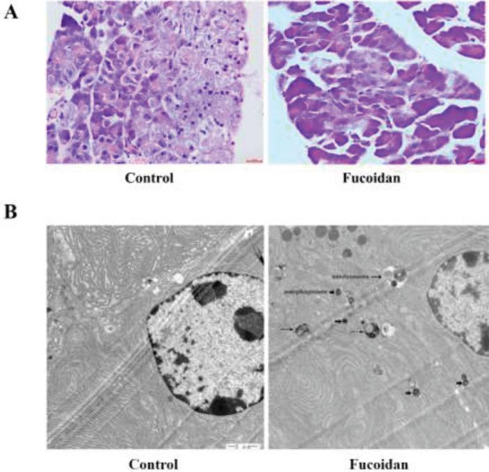 https://cdn.ncbi.nlm.nih.gov/pmc/blobs/b4e9/10722478/07a75d63939b/IJBMS-27-31-g002.jpg