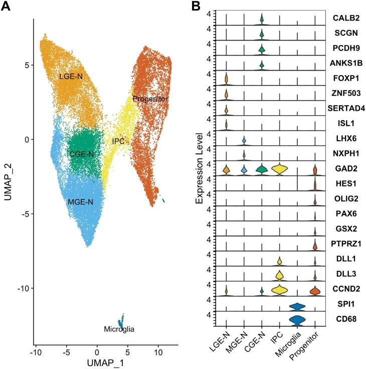 https://cdn.ncbi.nlm.nih.gov/pmc/blobs/b4ea/11349020/4bbda993c0b0/sbae083_fig1.jpg