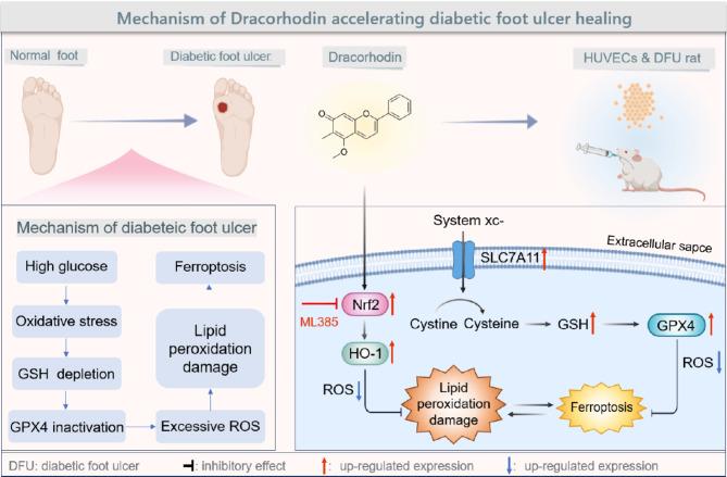 https://cdn.ncbi.nlm.nih.gov/pmc/blobs/b4ea/11992152/12233c640f1a/41598_2025_97831_Fig8_HTML.jpg