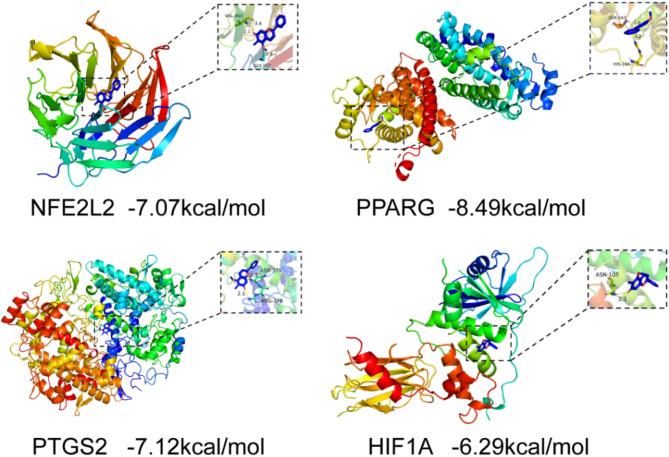 https://cdn.ncbi.nlm.nih.gov/pmc/blobs/b4ea/11992152/1ebb41d6492f/41598_2025_97831_Fig5_HTML.jpg