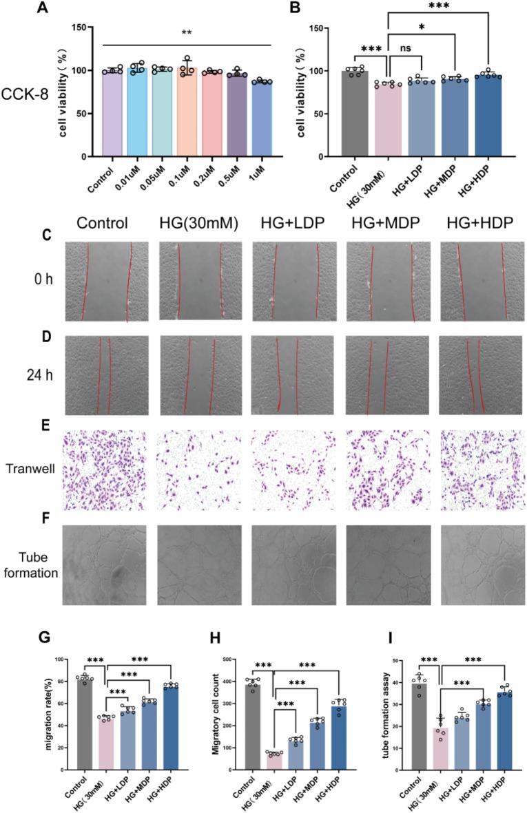 https://cdn.ncbi.nlm.nih.gov/pmc/blobs/b4ea/11992152/c4722116ce0c/41598_2025_97831_Fig6_HTML.jpg