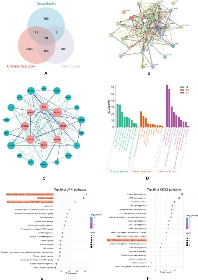 https://cdn.ncbi.nlm.nih.gov/pmc/blobs/b4ea/11992152/d05ab77cde6b/41598_2025_97831_Fig4_HTML.jpg