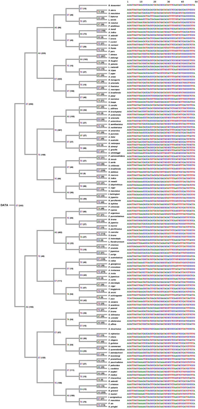 https://cdn.ncbi.nlm.nih.gov/pmc/blobs/b4eb/6456664/638d1425ebda/fgene-10-00259-g0006.jpg