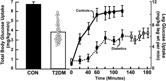 https://cdn.ncbi.nlm.nih.gov/pmc/blobs/b4ed/2661582/134604a5bbd2/zdb0040957080008.jpg