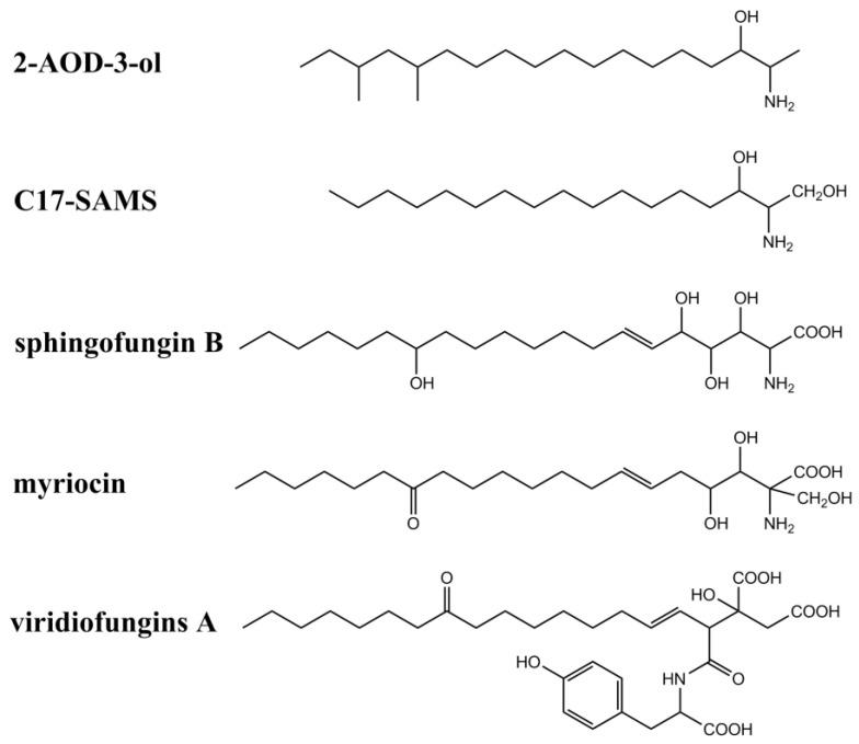https://cdn.ncbi.nlm.nih.gov/pmc/blobs/b4ed/7711896/3dc10010e468/jof-06-00312-g003.jpg