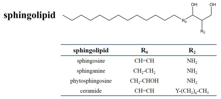 https://cdn.ncbi.nlm.nih.gov/pmc/blobs/b4ed/7711896/e24d2ec51986/jof-06-00312-g001.jpg