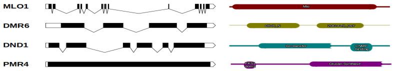 https://cdn.ncbi.nlm.nih.gov/pmc/blobs/b4ed/8147476/493b860f1d74/plants-10-00913-g001.jpg