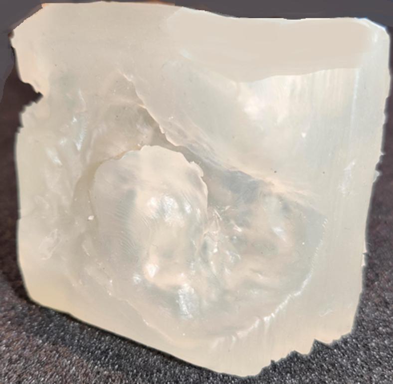 https://cdn.ncbi.nlm.nih.gov/pmc/blobs/b4f1/11518862/26c298cdca26/gr5.jpg