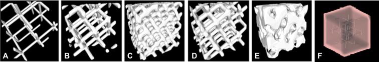https://cdn.ncbi.nlm.nih.gov/pmc/blobs/b4f1/11518862/52ae68d99ca1/gr4.jpg