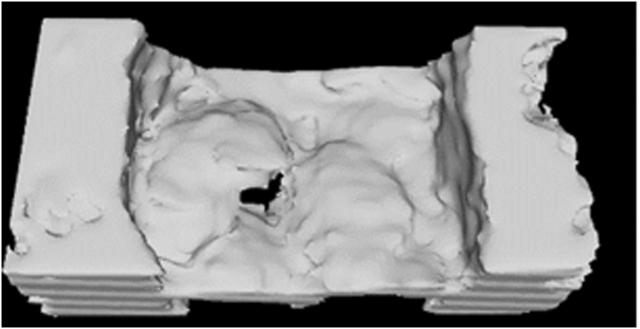 https://cdn.ncbi.nlm.nih.gov/pmc/blobs/b4f1/11518862/cfa97b17d8f5/gr2.jpg