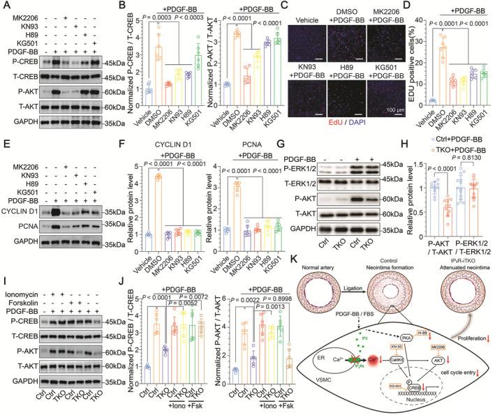 https://cdn.ncbi.nlm.nih.gov/pmc/blobs/b4f2/11964046/171734806456/JAH3-13-e034203-g006.jpg