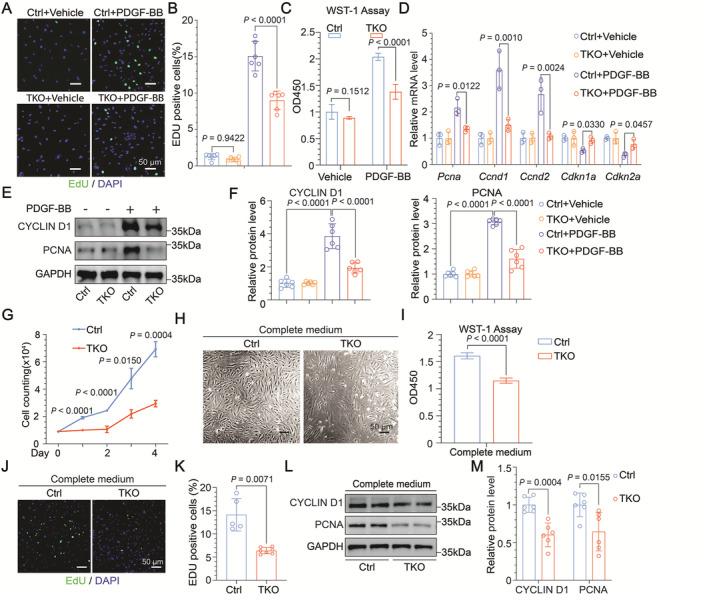 https://cdn.ncbi.nlm.nih.gov/pmc/blobs/b4f2/11964046/dcf52f4fe987/JAH3-13-e034203-g002.jpg