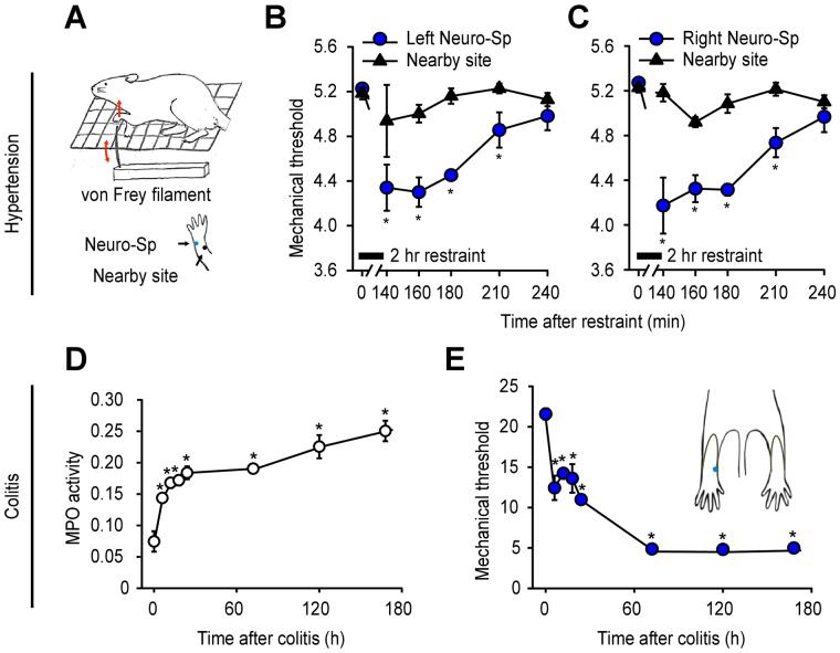 https://cdn.ncbi.nlm.nih.gov/pmc/blobs/b4f2/5680247/a4090cb4ca9f/41598_2017_14359_Fig5_HTML.jpg