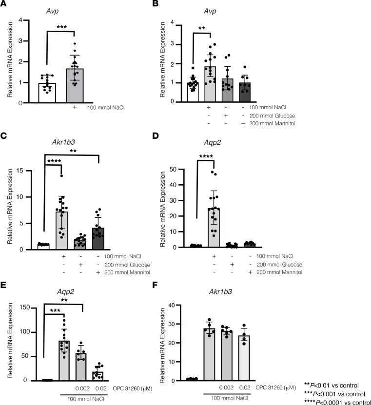 https://cdn.ncbi.nlm.nih.gov/pmc/blobs/b4f3/9869977/58aedad2680a/jciinsight-7-161765-g089.jpg