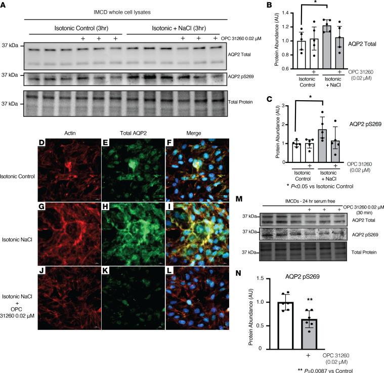 https://cdn.ncbi.nlm.nih.gov/pmc/blobs/b4f3/9869977/b1e3efa936c0/jciinsight-7-161765-g094.jpg