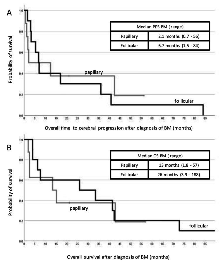https://cdn.ncbi.nlm.nih.gov/pmc/blobs/b4f4/10232560/b5834f0173e7/10585_2023_10208_Fig1_HTML.jpg