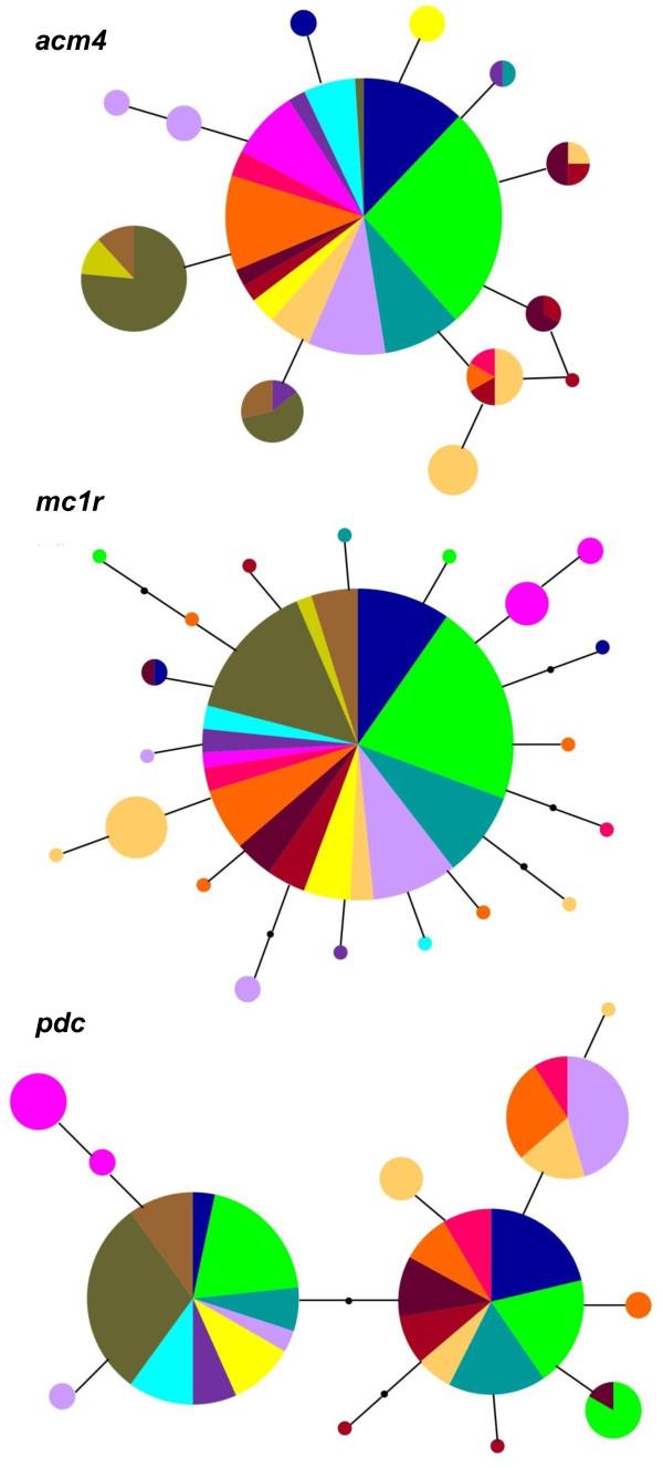 https://cdn.ncbi.nlm.nih.gov/pmc/blobs/b4f4/3711914/a8b02032b159/1471-2148-13-147-2.jpg