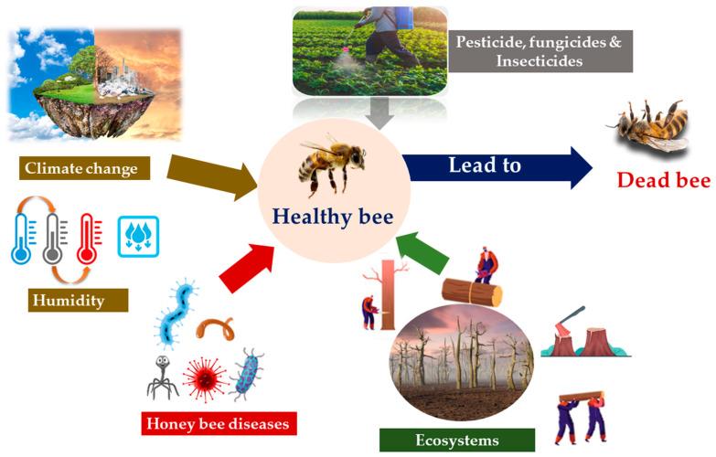 https://cdn.ncbi.nlm.nih.gov/pmc/blobs/b4f4/8396518/df674c6898c6/insects-12-00688-g002.jpg