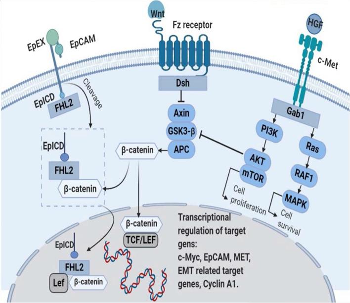 https://cdn.ncbi.nlm.nih.gov/pmc/blobs/b4f5/9389806/97e5e75e47e0/12935_2022_2658_Fig3_HTML.jpg
